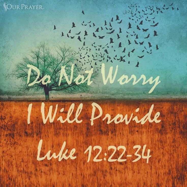 a tree with birds flying over it and the words, do not worry will provide luke 22 23 - 34