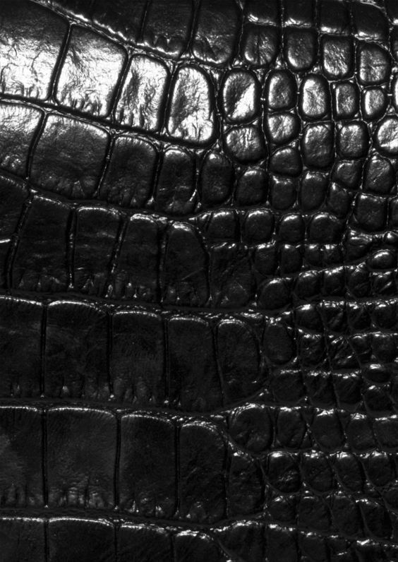 black crocodile leather textured up close to the surface