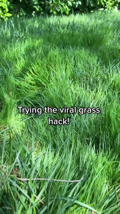 the grass is very tall and green with some words on it that says, trying the virtual grass hack