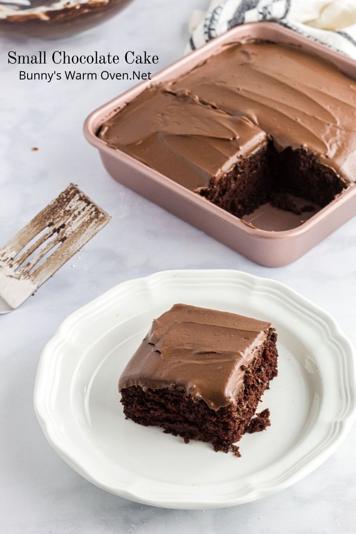 a slice of chocolate cake on a white plate with a fork next to the cake