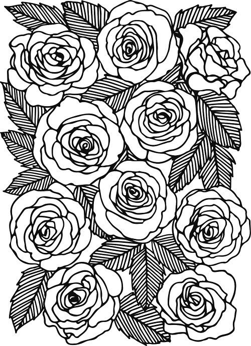 black and white drawing of roses