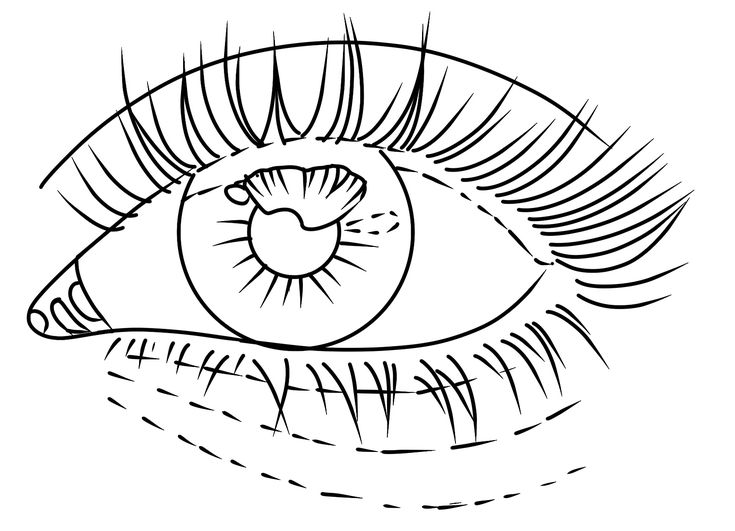 an eye with long lashes and eyelashes drawn in black ink on white paper by hand