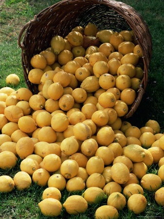 a basket full of lemons sitting in the grass