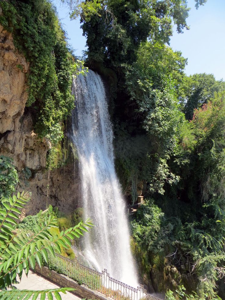 a large waterfall in the middle of a forest