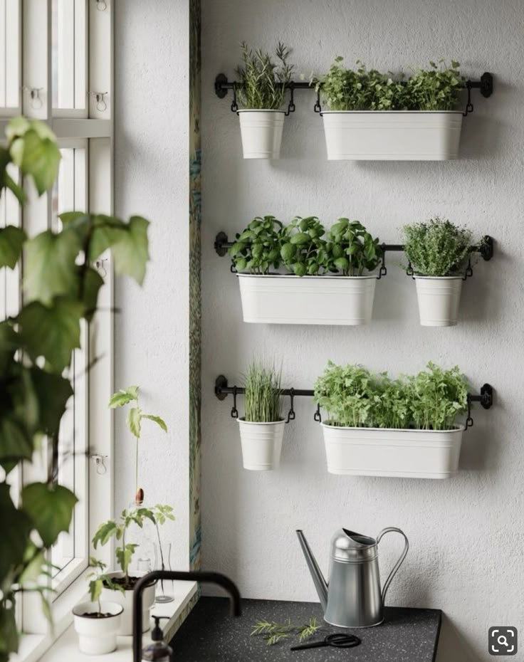 some plants are growing in white pots on the wall next to a watering can and window sill