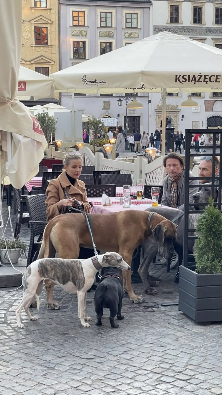 people sitting at an outdoor table with two dogs on leashes and one dog standing next to them