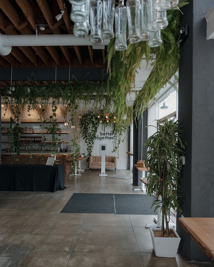 the inside of a building with plants hanging from it's ceiling and glass vases on the wall