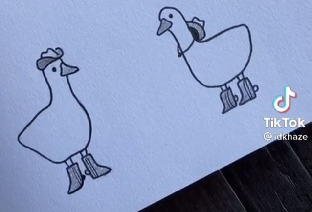 a drawing of two ducks on paper