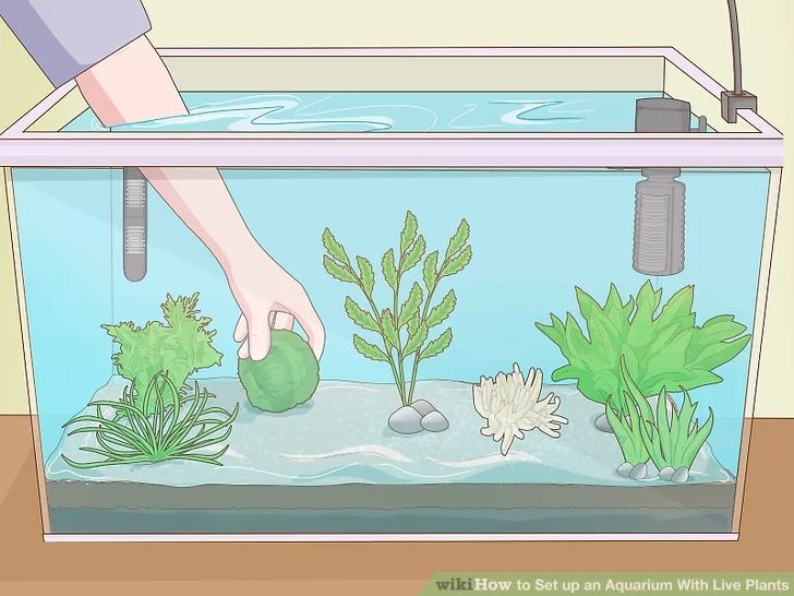 an aquarium with plants and rocks in it is being held by someone's hand