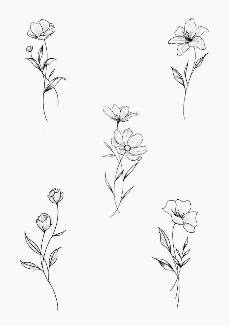 four different types of flowers on a white background