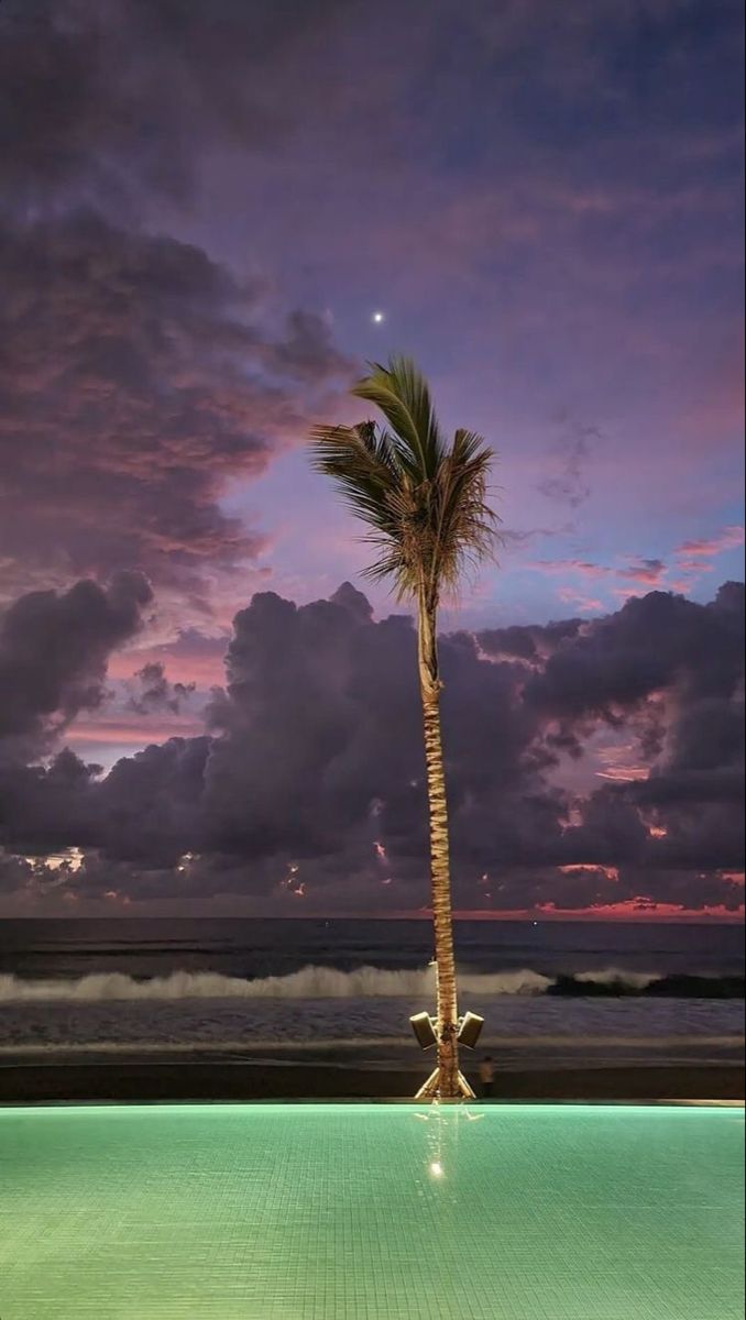 a palm tree sitting on the side of a swimming pool under a purple sky with clouds