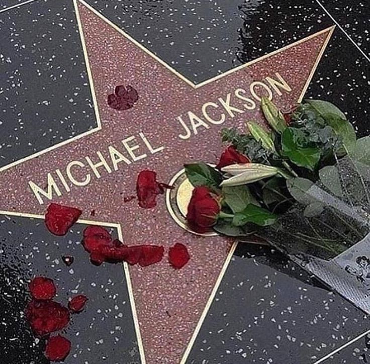 a star on the hollywood walk of fame with flowers and roses in front of it