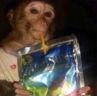 a monkey is holding a bag of chips and a candle in it's mouth