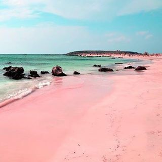 the beach is pink in color and has rocks on it