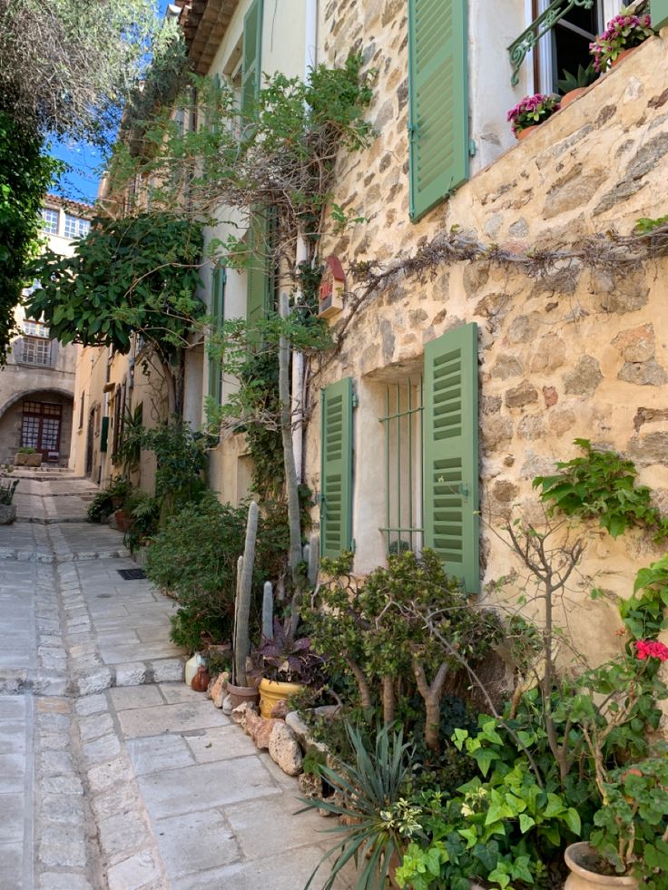 an alley way with green shutters and potted plants