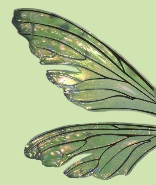 the wings of a butterfly on a green background