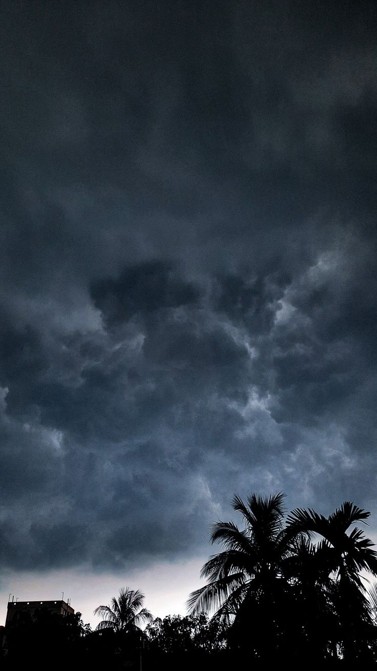 the sky is filled with dark clouds and palm trees