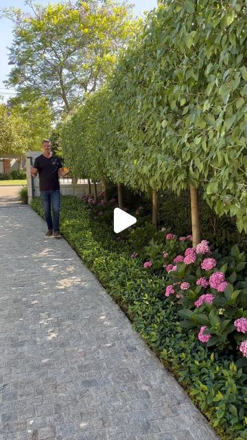 a man walking down a sidewalk next to trees and flowers on either side of the walkway