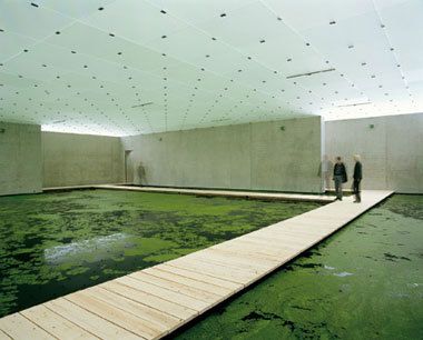 two people are standing on a dock in the water