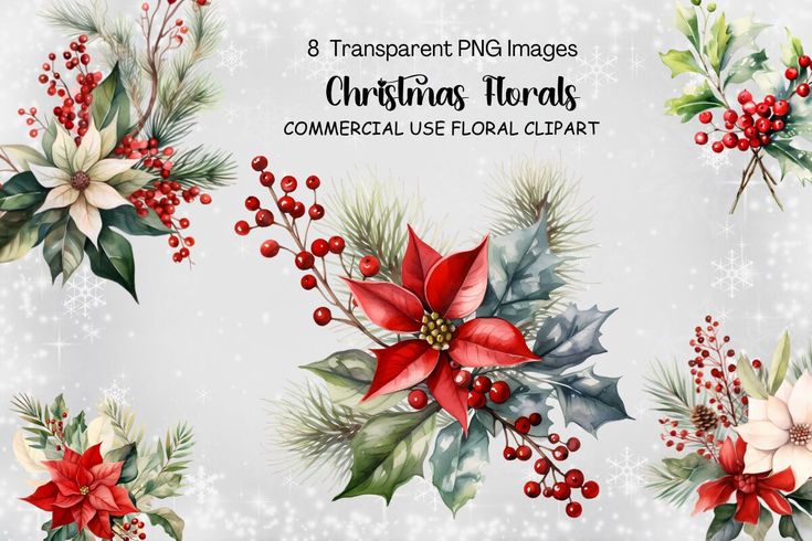 christmas floral clipart set with holly, poinsettis and mistle flowers