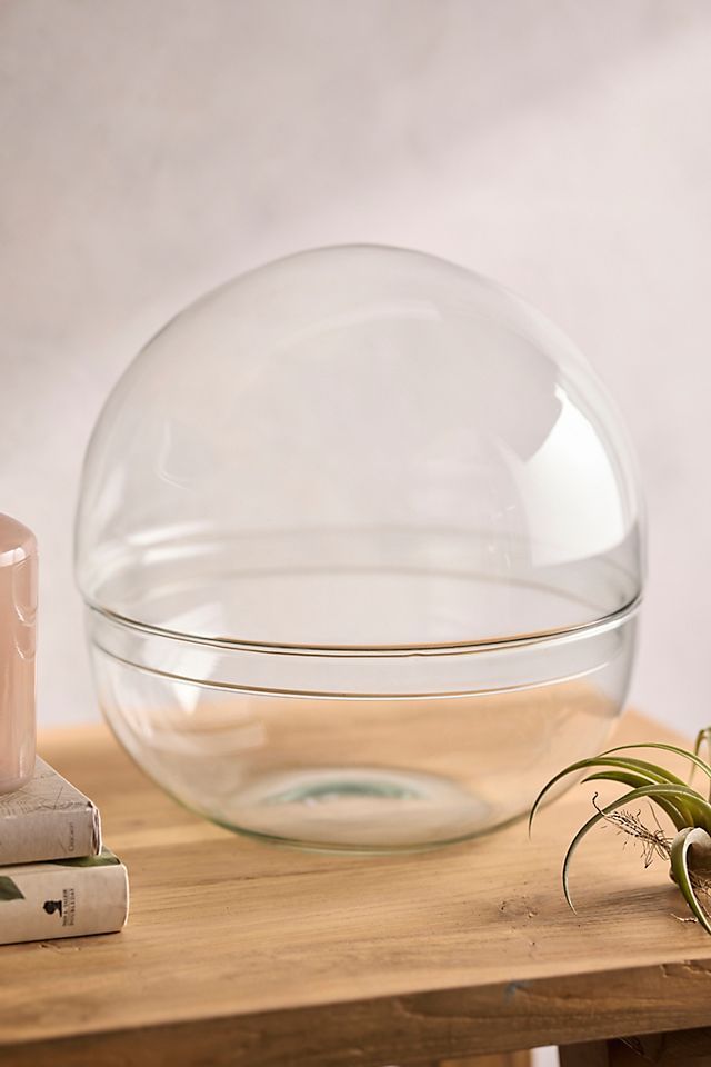 a glass bowl sitting on top of a wooden table next to a book and air plant