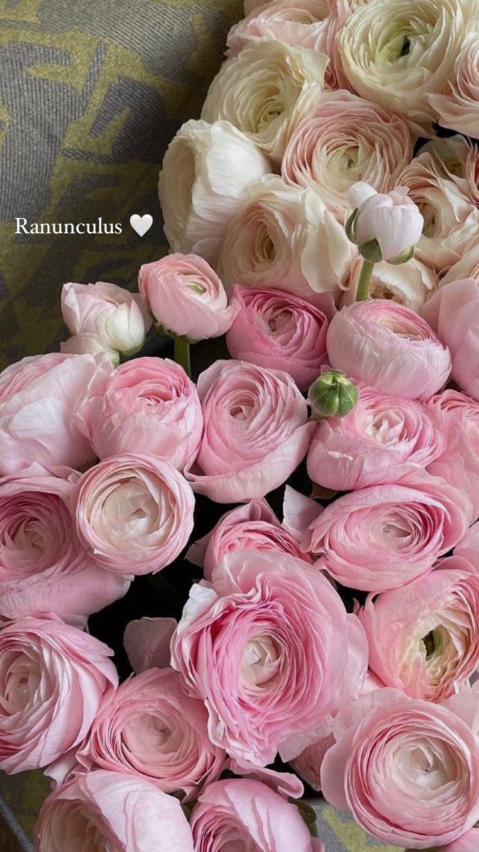 a bunch of pink and white flowers sitting on top of a couch