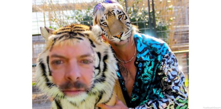 a man is posing with a tiger in front of him and the caption reads,'upload news report '