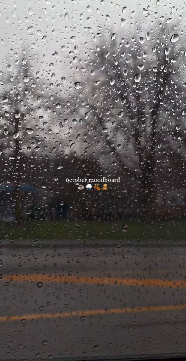 rain drops on the windshield of a car as it drives down a road in front of trees