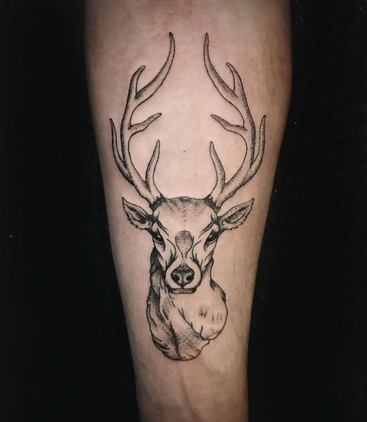 Deer Tattoo, Deer Tattoo Ideas, Black Deer Tattoo, Small Deer Tattoo, geometric deer tattoo, whitetail deer tattoo, tribal deer tattoo, traditional deer tattoo, simple deer tattoo, deer tattoo designs, deer tattoo for men, baby deer tattoo, realistic deer tattoo, deer tattoo men, deer tattoo sleeve, simple small deer tattoo, white tail deer tattoo, american flag deer tattoo, deer tattoo forearm, female deer tattoo, american traditional deer tattoo, buck deer tattoo, deer tattoo small Deer Tattoo For Men, Whitetail Deer Tattoo, Female Deer Tattoo, Small Deer Tattoo, Deer Tattoo Men, Deer Tattoo Ideas, Baby Deer Tattoo, Buck Tattoo, Tattoo Ideas Black