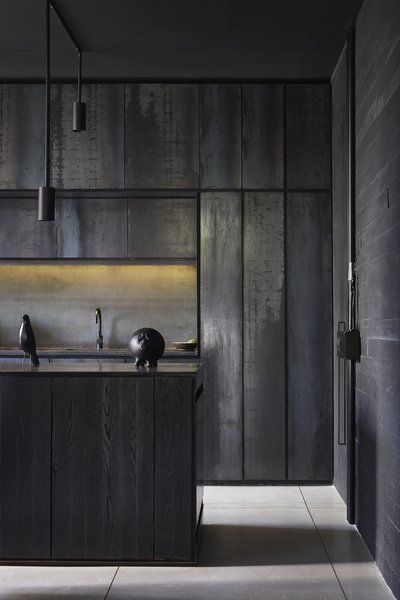 a kitchen with black cabinets and two birds on the counter