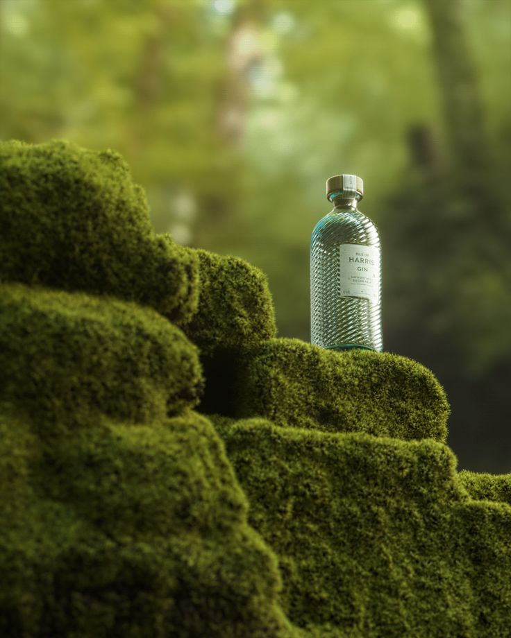 a bottle sitting on top of moss covered rocks