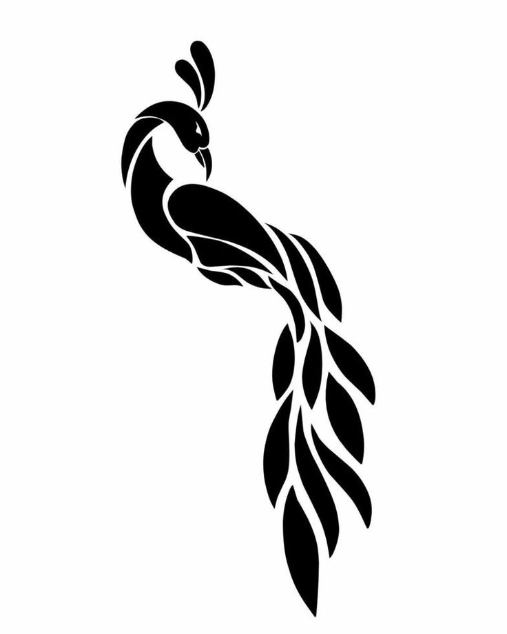 a black and white image of a bird with long feathers on its tail, in the shape of a stylized design