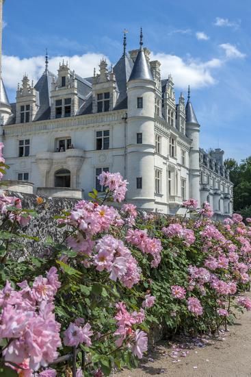 pink flowers are growing in front of a large white building with turrets on the roof