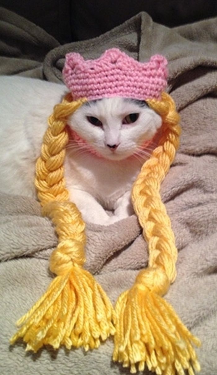 a white cat wearing a yellow and pink hat with braids on it's head