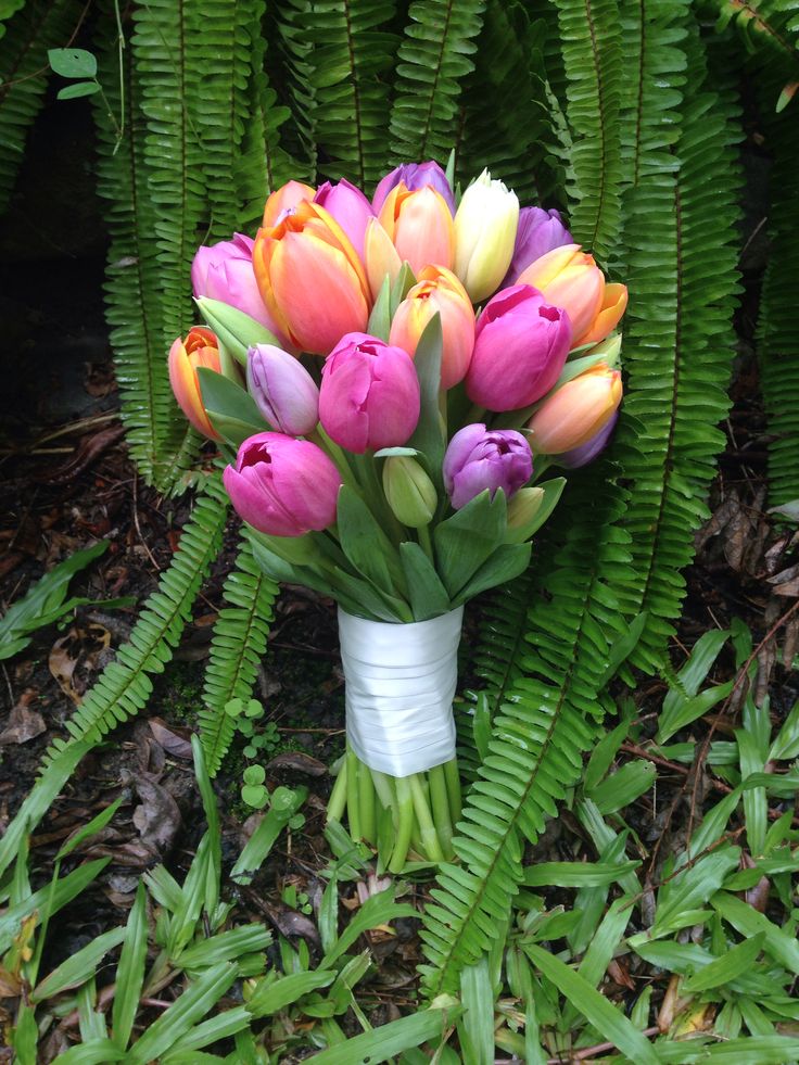 a bouquet of colorful tulips sitting on the ground in front of some ferns