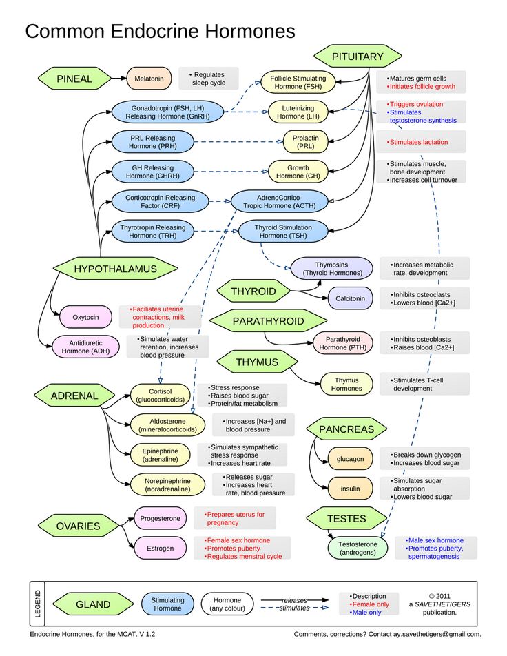 a diagram with different types of words in it