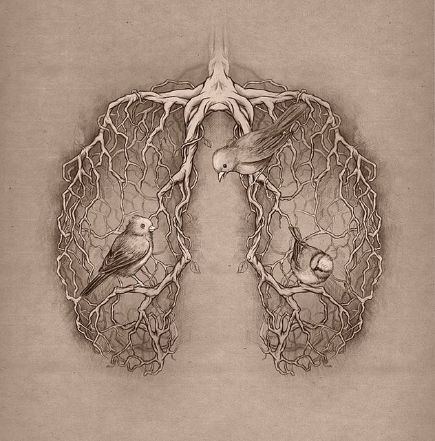 two birds sitting on top of a piece of wire in the shape of a lungs