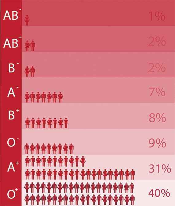 Blood types: the not so bleeding obvious - Curious Types Of Blood Group, A Positive Blood Type Facts, Blood Types Chart, Ab Positive Blood Type Facts, Ab Blood Type Personality, Blood Group Facts, Blood Group Chart, O Negative Blood Type Facts, Blood Group Personality