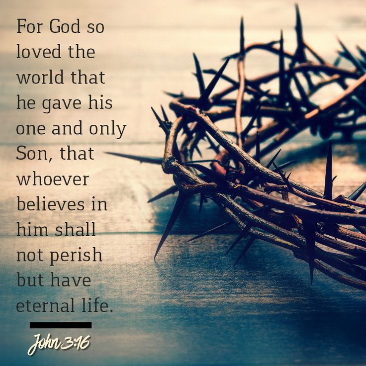 a crown of thorns with the words, for god so loved the world that he gave his one and only whoever who lives in him shall not perish