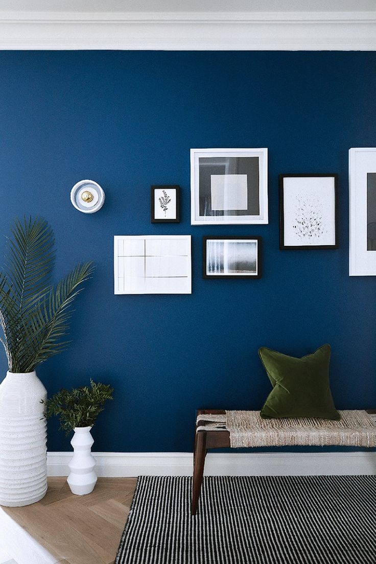 a living room with blue walls and pictures on the wall, including a bench in front of a large potted plant