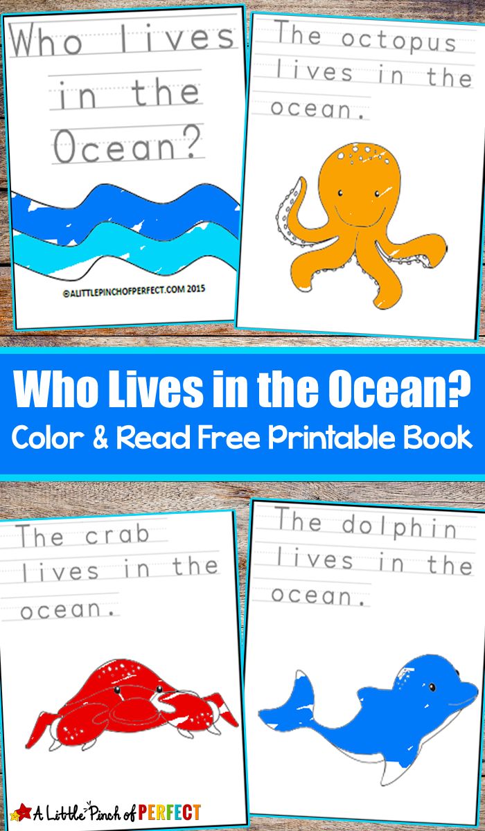 four ocean themed books with the words who lives in the ocean? and an octopus