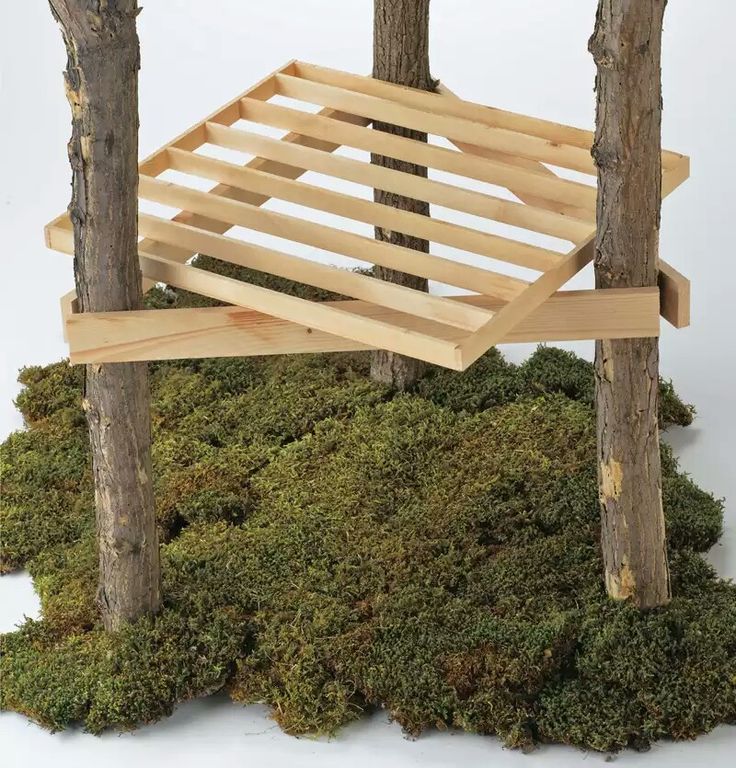 a bench made out of wood with moss growing on the ground next to it and two trees