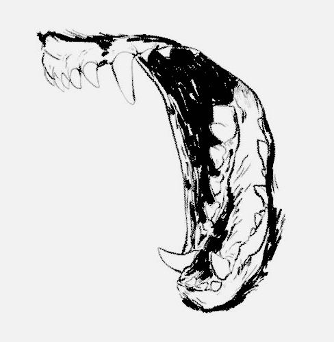 a drawing of an animal's head with its mouth open