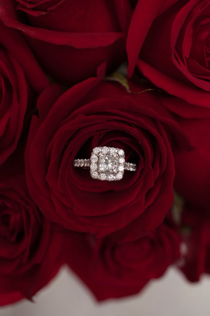 an engagement ring sitting on top of red roses