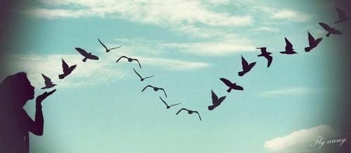 a flock of birds flying in the sky with a person looking at them from below