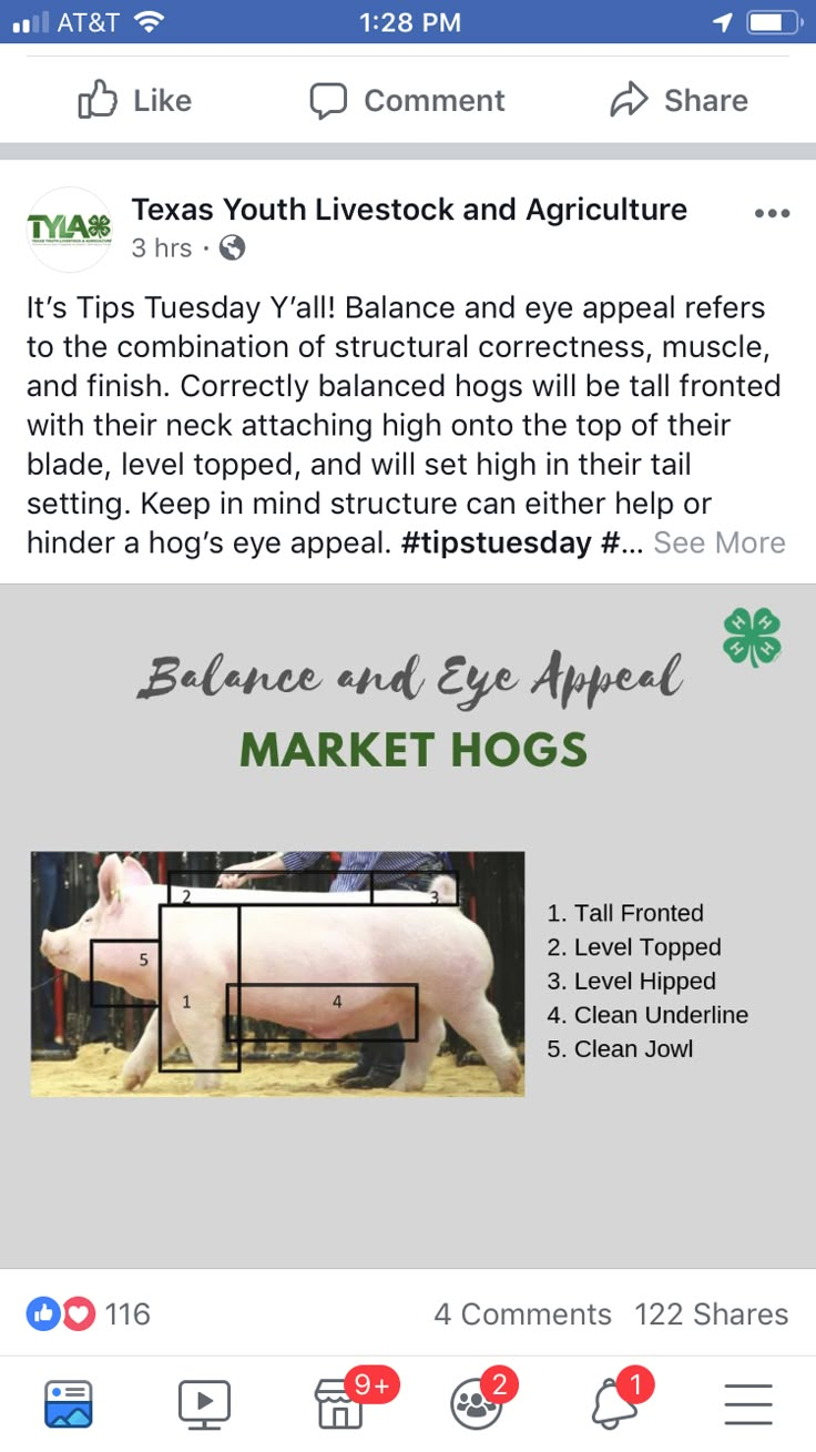 the texas livestock and agriculture market has been featured in this screenshoter's facebook page