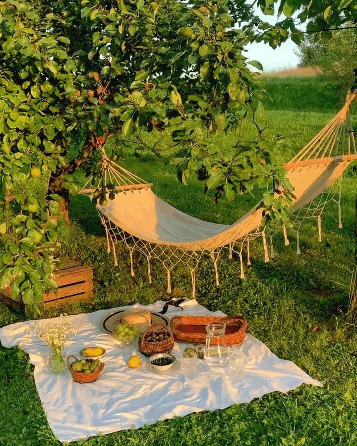 a hammock is set up in the grass with food and drinks on it