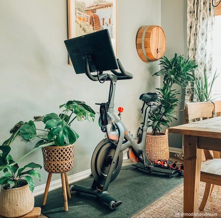 an indoor exercise bike with potted plants on the floor