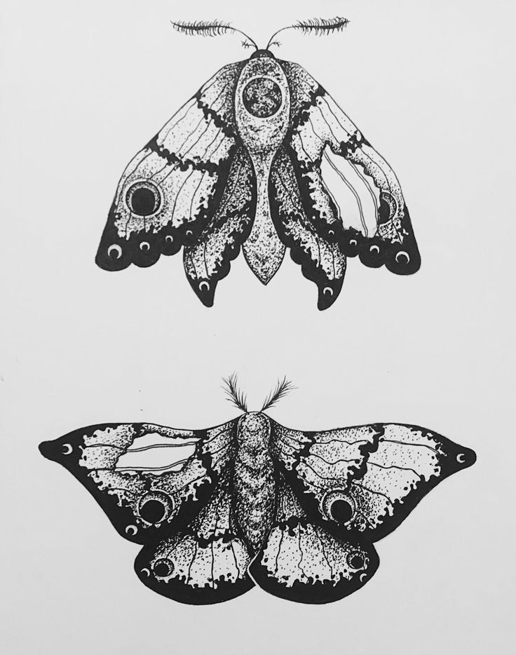 two moths sitting next to each other on top of a white sheet with black ink