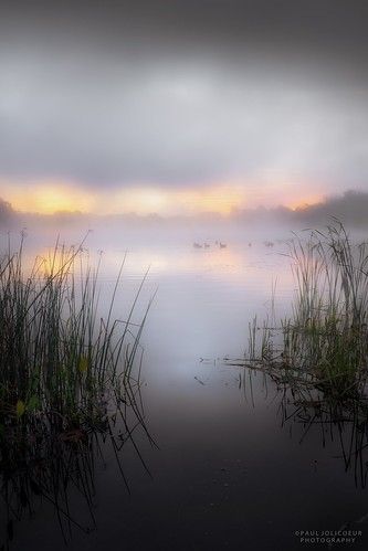 the water is still calm and there are some reeds in the foreground as the sun goes down